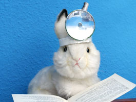 Ein weißes Stoffkaninchen trägt einen Arztspiegel auf dem Kopf und blickt nach vorn. Vor ihm liegt ein aufgeschlagenes Buch, als würde es lesen. Humorvolle Darstellung eines Hasen-Arztes vor blauem Hintergrund.